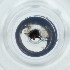  ( - POMS_011_C11)  @11 [ ] by  Genome Research Ltd as Wellcome Sanger Institute Genome Research Limited operating as Wellcome Sanger Institute