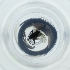  ( - POMS_011_E10)  @11 [ ] by  Genome Research Ltd as Wellcome Sanger Institute Genome Research Limited operating as Wellcome Sanger Institute