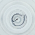  (Macroglenes varicornis - POMS_011_E5)  @11 [ ] by  Genome Research Ltd as Wellcome Sanger Institute Genome Research Limited operating as Wellcome Sanger Institute