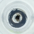  ( - POMS_011_G10)  @11 [ ] by  Genome Research Ltd as Wellcome Sanger Institute Genome Research Limited operating as Wellcome Sanger Institute