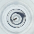  ( - POMS_013_C6)  @11 [ ] by  Genome Research Ltd as Wellcome Sanger Institute Genome Research Limited operating as Wellcome Sanger Institute