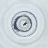  ( - POMS_031_A8)  @11 [ ] by  Genome Research Ltd as Wellcome Sanger Institute Genome Research Limited operating as Wellcome Sanger Institute
