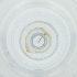  ( - POMS_031_B5)  @11 [ ] by  Genome Research Ltd as Wellcome Sanger Institute Genome Research Limited operating as Wellcome Sanger Institute