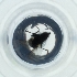  ( - POMS_037_E10)  @11 [ ] by  Genome Research Ltd as Wellcome Sanger Institute Genome Research Limited operating as Wellcome Sanger Institute