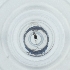  (Megaselia badia - POMS_051_F4)  @11 [ ] by  Genome Research Ltd as Wellcome Sanger Institute Genome Research Limited operating as Wellcome Sanger Institute