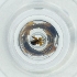  ( - POMS_053_H10)  @11 [ ] by  Genome Research Ltd as Wellcome Sanger Institute Genome Research Limited operating as Wellcome Sanger Institute