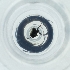  ( - POMS_056_H8)  @11 [ ] by  Genome Research Ltd as Wellcome Sanger Institute Genome Research Limited operating as Wellcome Sanger Institute
