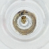  ( - POMS_060_D11)  @11 [ ] by  Genome Research Ltd as Wellcome Sanger Institute Genome Research Limited operating as Wellcome Sanger Institute