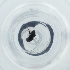  ( - POMS_065_G6)  @11 [ ] by  Genome Research Ltd as Wellcome Sanger Institute Genome Research Limited operating as Wellcome Sanger Institute