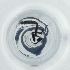  ( - POMS_065_H1)  @11 [ ] by  Genome Research Ltd as Wellcome Sanger Institute Genome Research Limited operating as Wellcome Sanger Institute