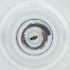  ( - POMS_069_C7)  @11 [ ] by  Genome Research Ltd as Wellcome Sanger Institute Genome Research Limited operating as Wellcome Sanger Institute