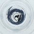  ( - POMS_078_C5)  @11 [ ] by  Genome Research Ltd as Wellcome Sanger Institute Genome Research Limited operating as Wellcome Sanger Institute