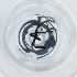  ( - POMS_078_H8)  @11 [ ] by  Genome Research Ltd as Wellcome Sanger Institute Genome Research Limited operating as Wellcome Sanger Institute