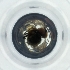 ( - POMS_081_B8)  @11 [ ] by  Genome Research Ltd as Wellcome Sanger Institute Genome Research Limited operating as Wellcome Sanger Institute