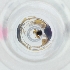  ( - POMS_082_F12)  @11 [ ] by  Genome Research Ltd as Wellcome Sanger Institute Genome Research Limited operating as Wellcome Sanger Institute
