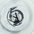  ( - POMS_084_A3)  @11 [ ] by  Genome Research Ltd as Wellcome Sanger Institute Genome Research Limited operating as Wellcome Sanger Institute