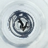  ( - POMS_084_C2)  @11 [ ] by  Genome Research Ltd as Wellcome Sanger Institute Genome Research Limited operating as Wellcome Sanger Institute