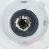  ( - POMS_086_H10)  @11 [ ] by  Genome Research Ltd as Wellcome Sanger Institute Genome Research Limited operating as Wellcome Sanger Institute