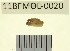  ( - 11BFMOL-0020)  @13 [ ] CreativeCommons - Attribution  Unspecified Centre for Biodiversity Genomics
