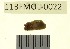  ( - 11BFMOL-0022)  @13 [ ] CreativeCommons - Attribution  Unspecified Centre for Biodiversity Genomics