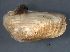  ( - BIOUG09922-H04)  @14 [ ] CreativeCommons - Attribution (2014) CBG Photography Group Centre for Biodiversity Genomics