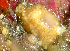  ( - KML1210)  @11 [ ] Unspecified (default): All Rights Reserved  Unspecified Unspecified