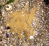  ( - KML1268)  @11 [ ] Unspecified (default): All Rights Reserved  Unspecified Unspecified
