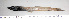  ( - PCB007)  @11 [ ] Unspecified (default): All Rights Reserved  Unspecified Unspecified