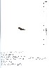  (Neopyropia elongata - 0222_OSG_1.1.1)  @11 [ ] Copyright (c) (2023) Unspecified Ghent University