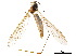  ( - CCDB-33290-G04)  @11 [ ] CreativeCommons - Attribution (2019) CBG Photography Group Centre for Biodiversity Genomics
