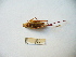  ( - 02DRAGO_C04)  @12 [ ] Copyright  G. Blagoev 2010 Unspecified