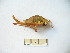  ( - 02DRAGO_C06)  @14 [ ] Copyright  G. Blagoev 2010 Unspecified