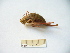  ( - 02DRAGO_C07)  @14 [ ] Copyright  G. Blagoev 2010 Unspecified