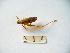  ( - 02DRAGO_C09)  @13 [ ] Copyright  G. Blagoev 2010 Unspecified