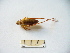  ( - 02DRAGO_C10)  @11 [ ] Copyright  G. Blagoev 2010 Unspecified