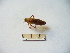  ( - 02DRAGO_C11)  @13 [ ] Copyright  G. Blagoev 2010 Unspecified
