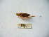  ( - 02DRAGO_C12)  @13 [ ] Copyright  G. Blagoev 2010 Unspecified