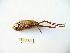  ( - 02DRAGO_D12)  @13 [ ] Copyright  G. Blagoev 2010 Unspecified