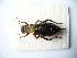  ( - 02DRAGO_E06)  @14 [ ] Copyright  G. Blagoev 2010 Unspecified