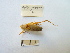  ( - 02DRAGO_G05)  @13 [ ] Copyright  G. Blagoev 2010 Unspecified
