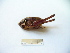  ( - 02DRAGO_H08)  @13 [ ] Copyright  G. Blagoev 2010 Unspecified