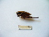  ( - 02DRAGO_H09)  @13 [ ] Copyright  G. Blagoev 2010 Unspecified