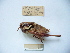 ( - 03DRAGO_A03)  @13 [ ] Copyright  G. Blagoev 2010 Unspecified