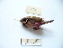  ( - 03DRAGO_A04)  @13 [ ] Copyright  G. Blagoev 2010 Unspecified