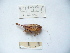  ( - 03DRAGO_A07)  @13 [ ] Copyright  G. Blagoev 2010 Unspecified