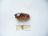 ( - 03DRAGO_A11)  @13 [ ] Copyright  G. Blagoev 2010 Unspecified