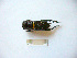  ( - 03DRAGO_D07)  @12 [ ] Copyright  G. Blagoev 2010 Unspecified