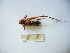  ( - 03DRAGO_E05)  @12 [ ] Copyright  G. Blagoev 2010 Unspecified