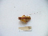  ( - 03DRAGO_F07)  @12 [ ] Copyright  G. Blagoev 2010 Unspecified