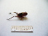 ( - 03DRAGO_G02)  @12 [ ] Copyright  G. Blagoev 2010 Unspecified